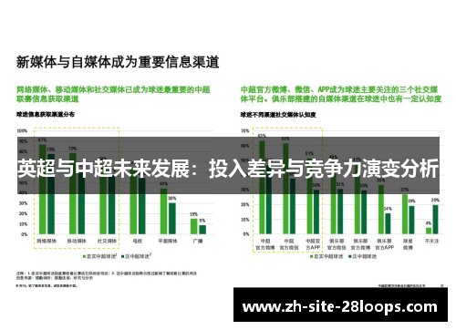 英超与中超未来发展：投入差异与竞争力演变分析