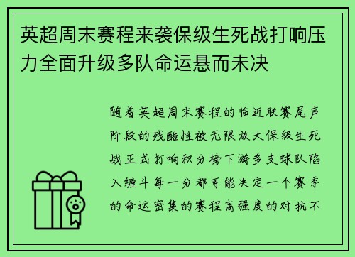 英超周末赛程来袭保级生死战打响压力全面升级多队命运悬而未决 英超周末赛程来袭保级生死战打响压力全面升级多队命运悬而未决